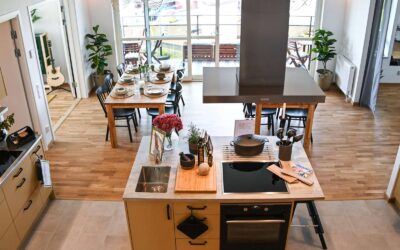 Delningsbostäder – hur tar vi steget från vision till verklighet?