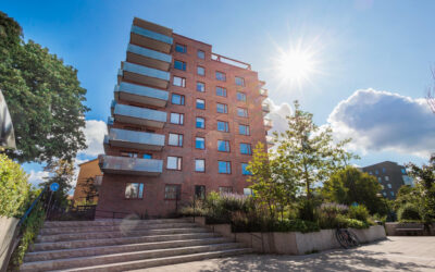 Kollektivhuset Kombo fyller 5 år
